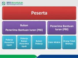 Mengenal Jenis Kepsertaan BPJS Kesehatan - (PBI, Non-PBI, PBPU, PPU, BP)