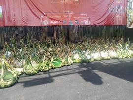 Puncak Acara Rasulan Padukuhan Karangmojo