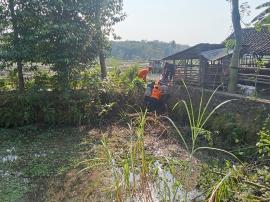 BPBD Gunungkidul dan Warga Berhasil Evakuasi Sapi Tercebur di Kalam Gelaran I Bejiharjo